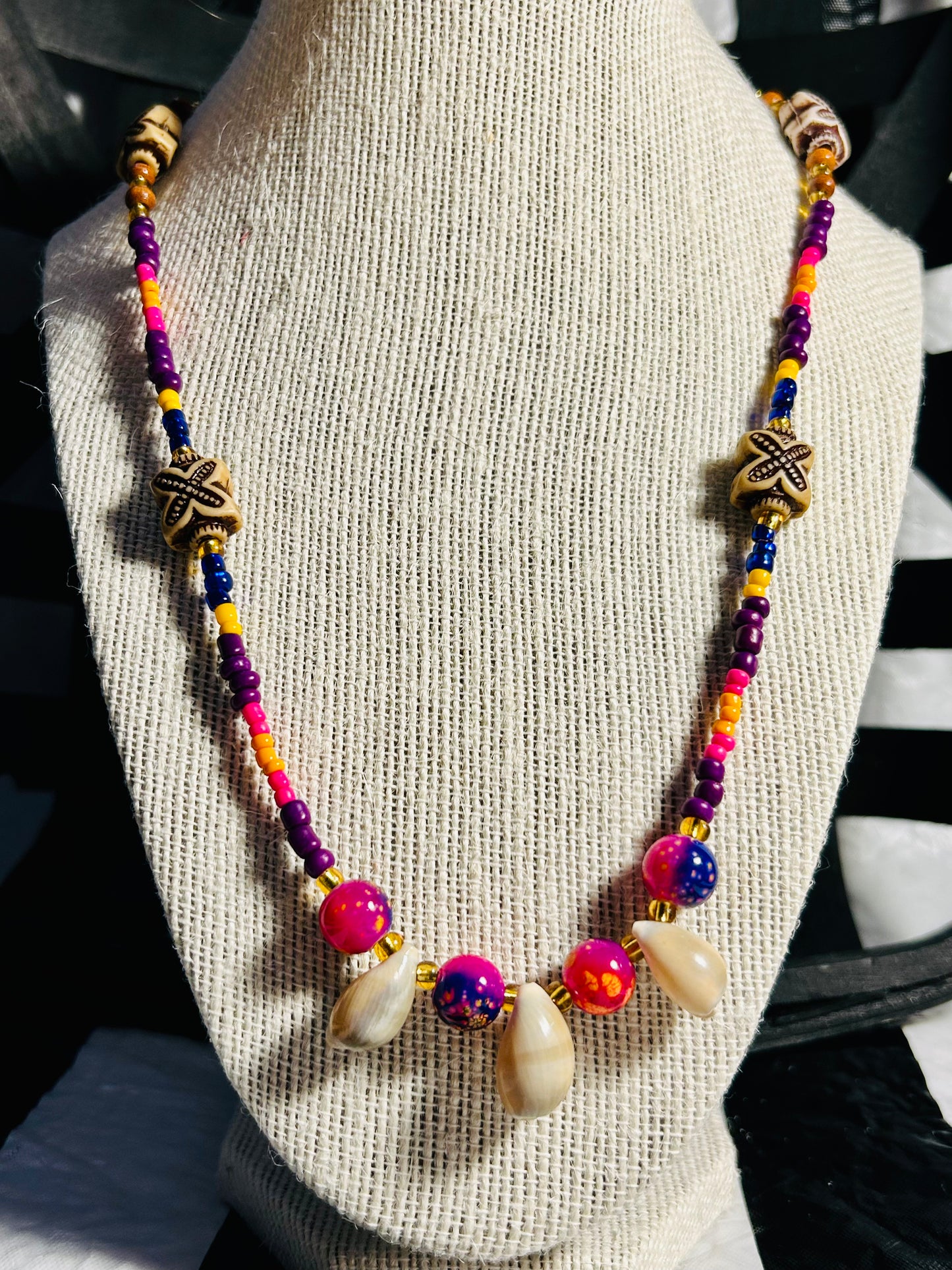 Wild Cowries